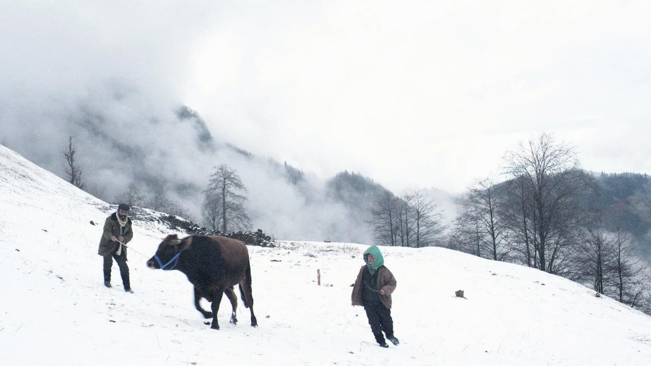 Kalandar Soğuğu