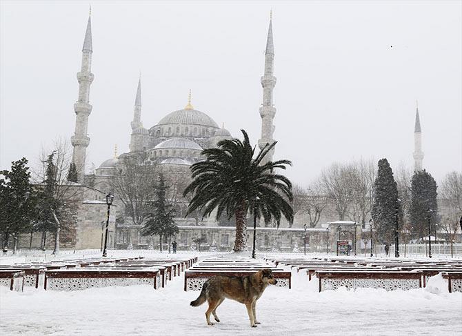  İstanbul'dan muhteşem kar manzaraları