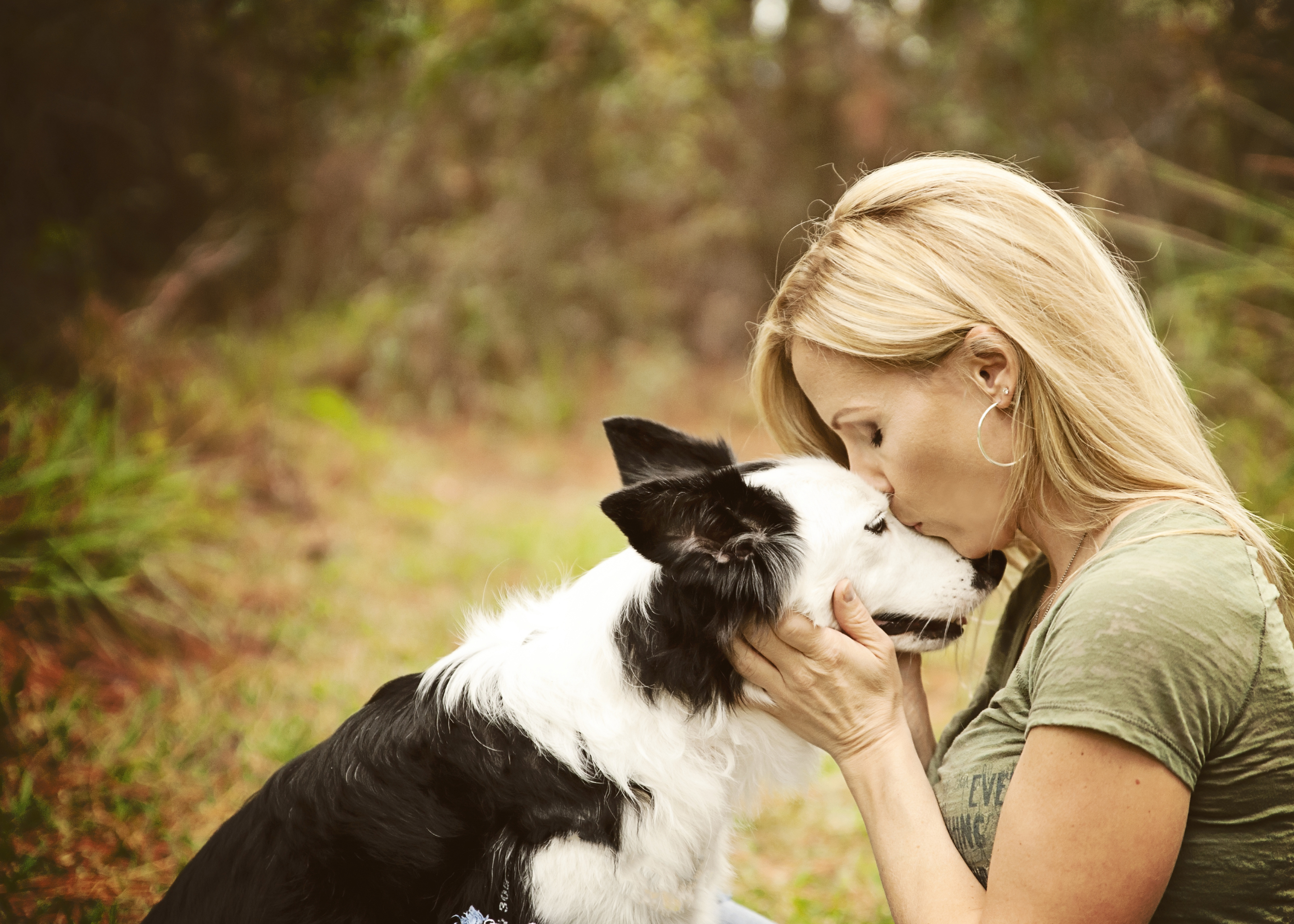 Köpekler sahiplerine benziyor