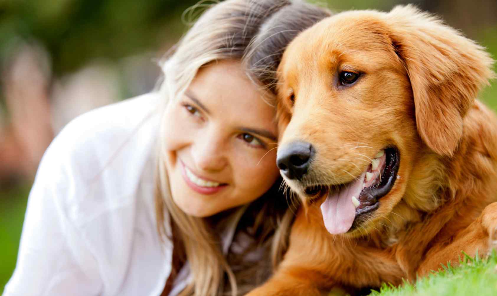 Köpekler sahiplerine benziyor