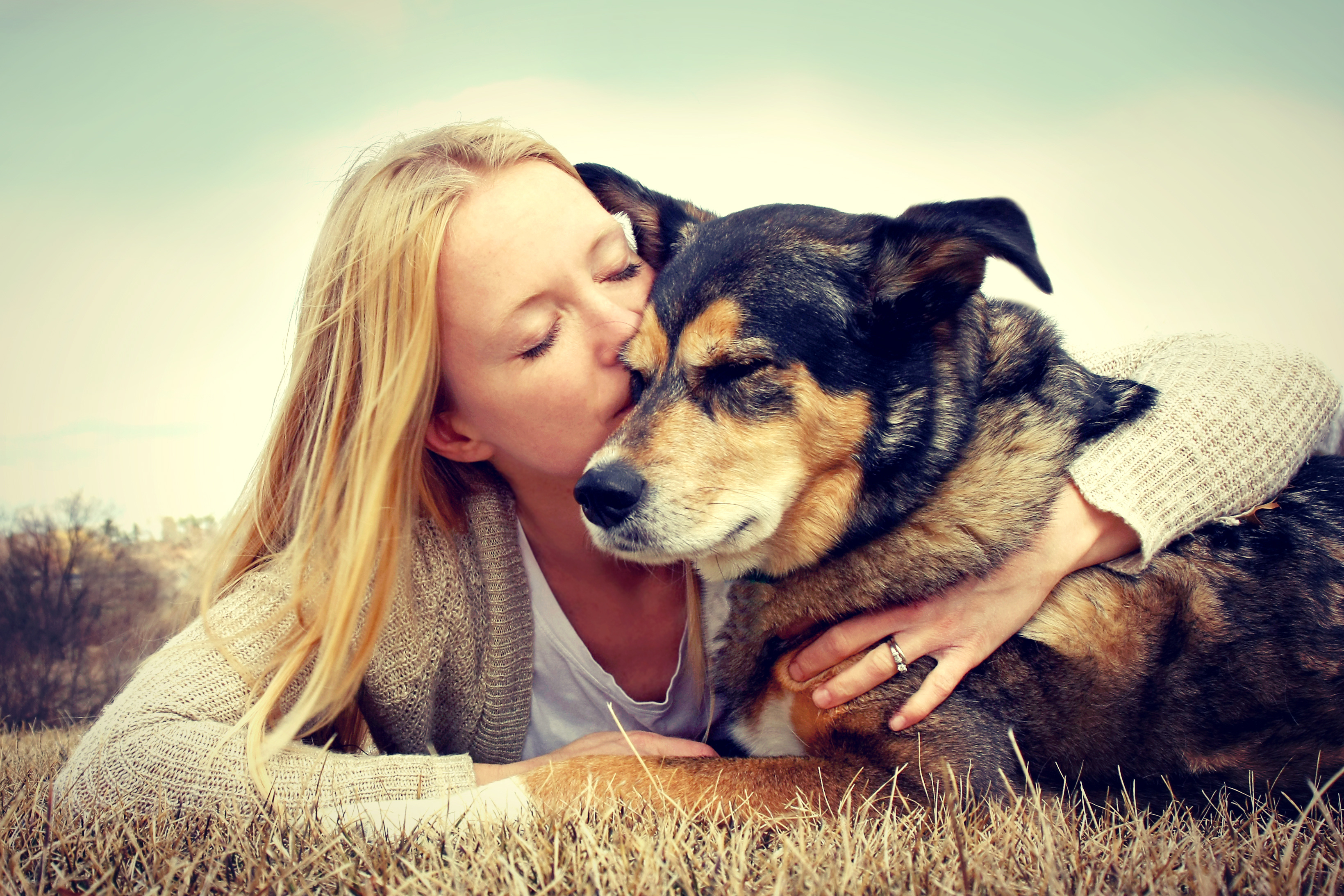 Köpekler sahiplerine benziyor