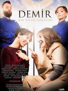 DEMİR