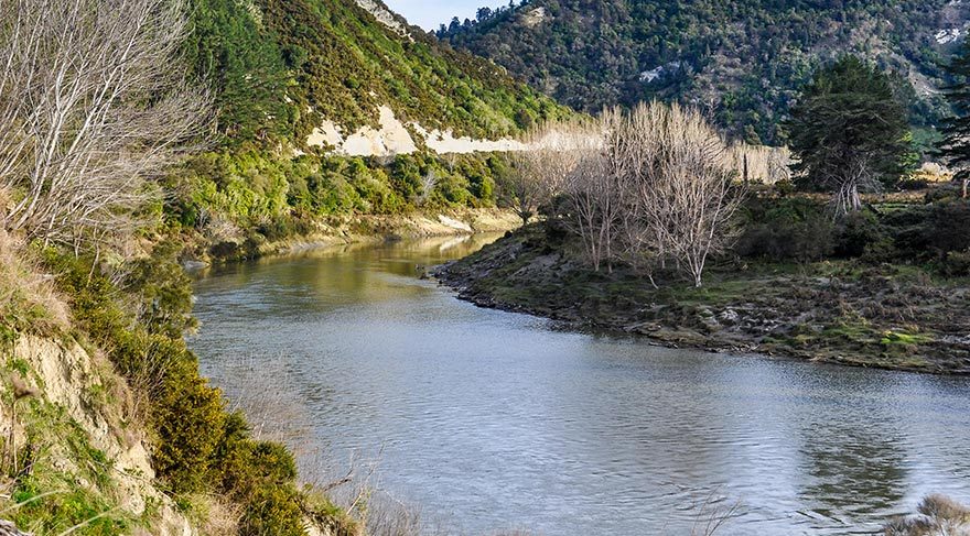 Whanganui Nehri