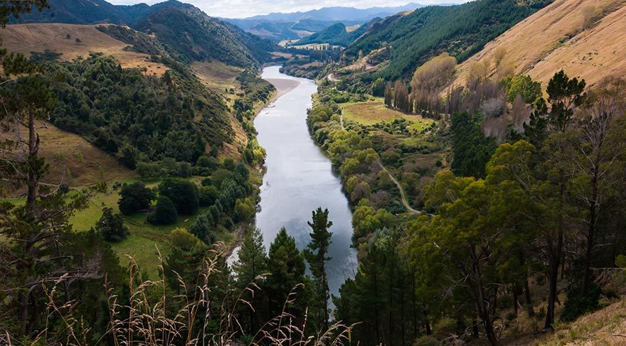 Whanganui Nehri