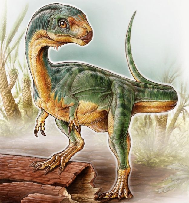 Chilesaurus yaklaşık 145 milyon yıl önce yaşamıştı