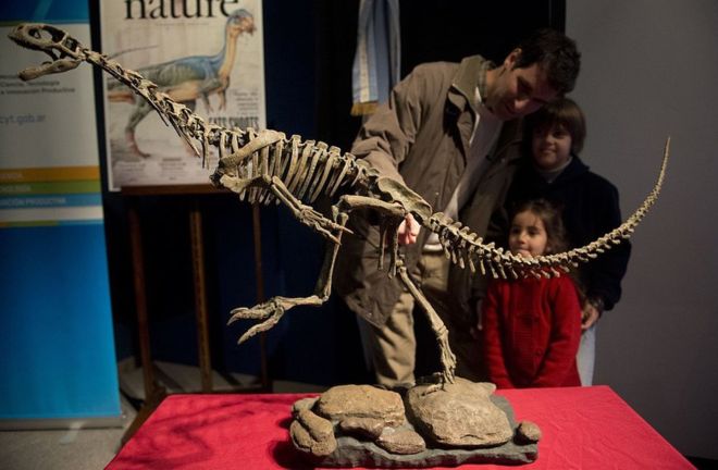 Chilesaurus büyükçe bir köpek boyutlarında