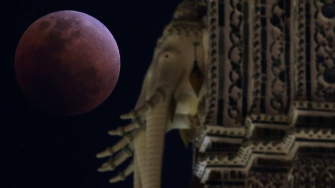 Dünyanın dört bir yanından fotoğrafçılar, nadiren rastlanan Süper Mavi Kanlı Ay tutulmasını kaydetmek için deklanşörlere bastı. Fotoğraf Tayland'ın Bangkok kentinden