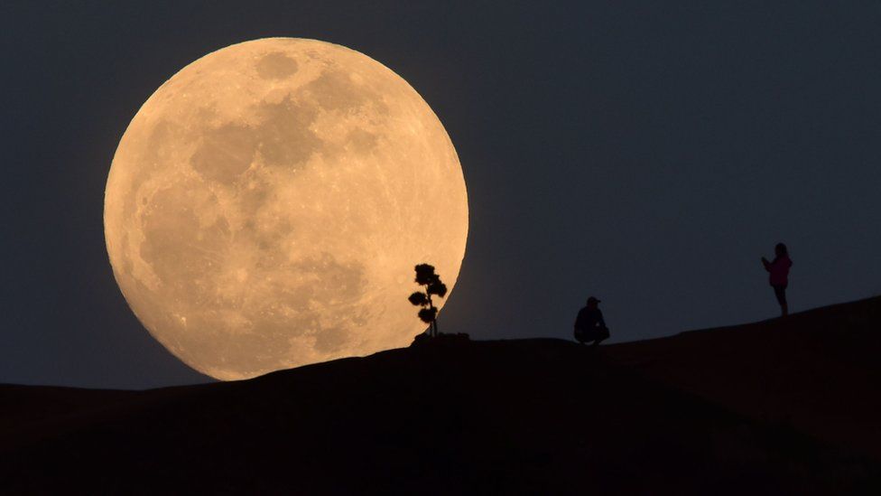 ABD'nin Los Angeles kentinde bir kişi fotoğraf için poz veriyor