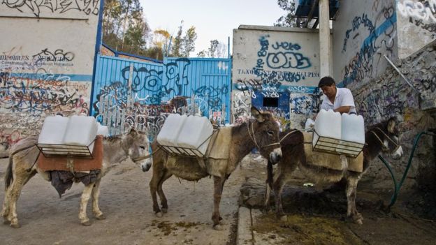 Çeşmelerinde su bulamamak Mexico City halkının alışık olduğu bir durum.