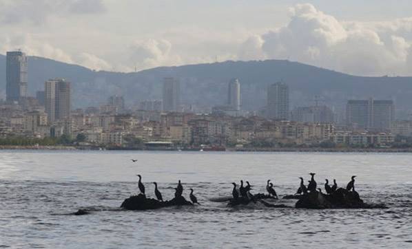 Vordonisi adası gün yüzüne çıkıyor