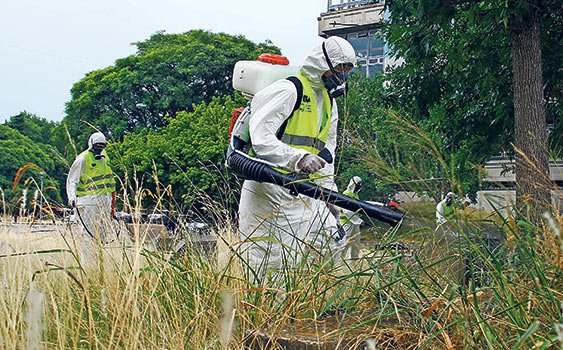 Dünya Sağlık Örgütü (WHO), zika virüsünü binlerce insanın ölümüne yol açan ebola salgını ile aynı kategoride ele alacağını duyurdu. Zika için ‘küresel acil durum' ilan eden WHO Başkanı Margaret Chan, “Olağanüstü bir durum. Latin Amerika'da gözlenen mikrosefali uluslararası bir sorun niteliği taşımaktadır.” dedi.