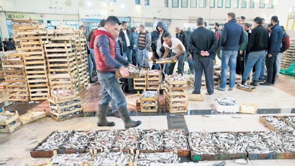 İstanbul Balık Satıcıları Esnaf Odası Başkanı Yaşar Gün, bu yıl av mevsiminin çok zayıf geçtiğini, umduklarını bulamadıklarını belirterek, denizlerde bu yıl balığın az olduğunu söyledi.