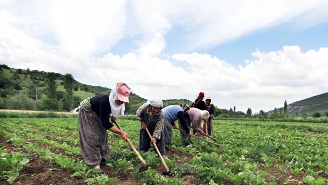 Milyonlarca çiftçiye müjdeli haber