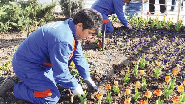 İstanbul Büyükşehir Belediyesi, kentin dört bir yanı için dev bir çiçek ihalesi açtı.