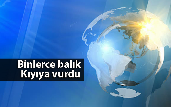 İngiltere’de binlerce balık kıyıya vurdu