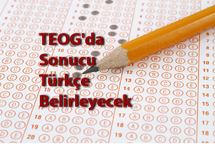 TEOG Sonuçları