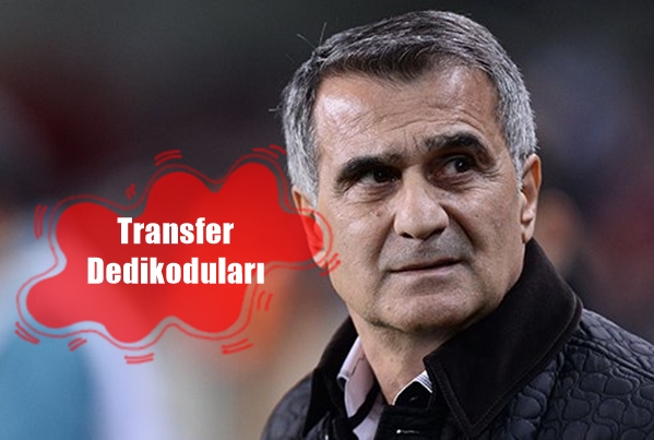 Şenol Güneş'ten transfer açıklaması