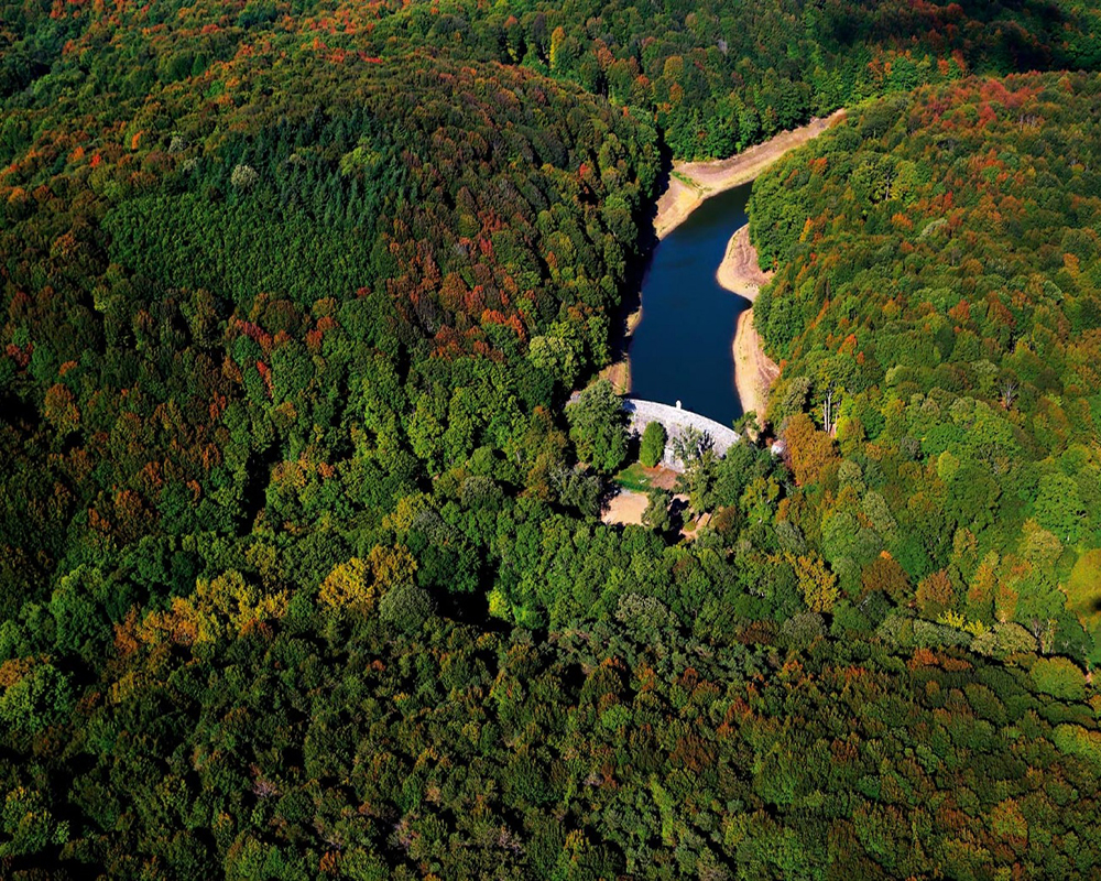 Belgrad Ormanı