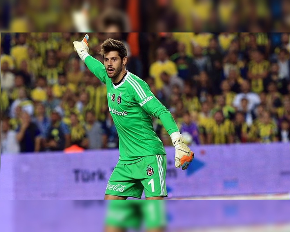 Fabri