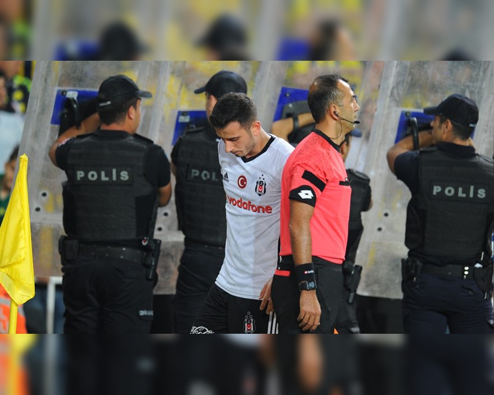 Oğuzhan Özyakup, Fenerbahçe