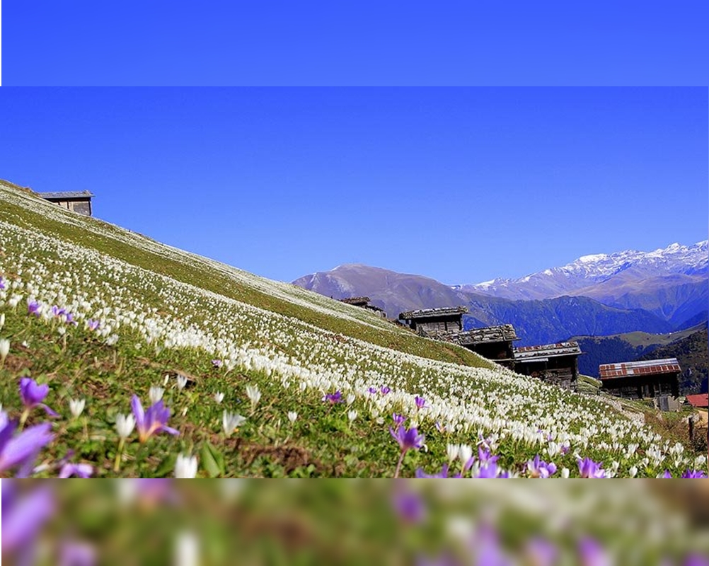 Doğu Karadeniz Bölgesi