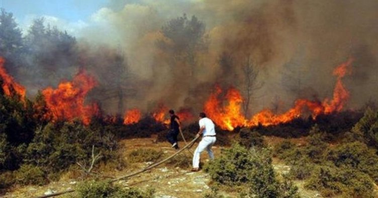6 bin 671 orman yangının sebebi bulunamadı