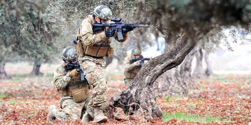 Türk Silahlı Kuvvetleri, Zeytin Dalı Harekatı