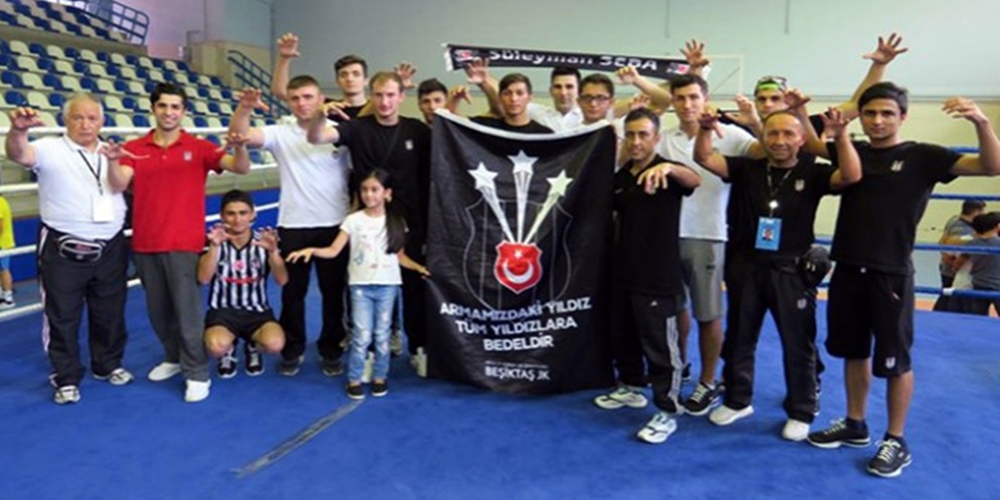 Beşiktaş Boks Takımı, Spor Toto Boks Ligi